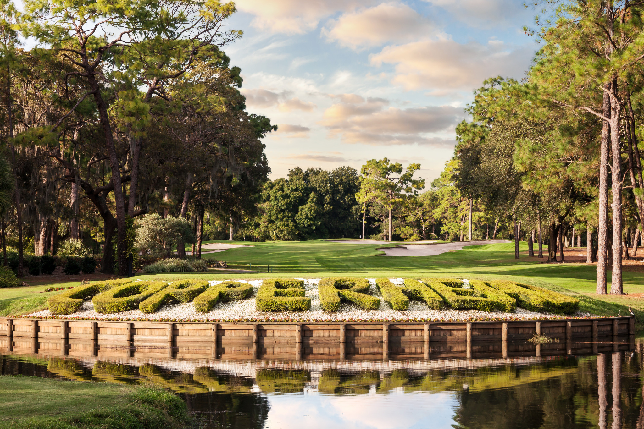 Copperhead Course Hole 17 at Innisbrook Resort, framed by pine trees and reflected in the water